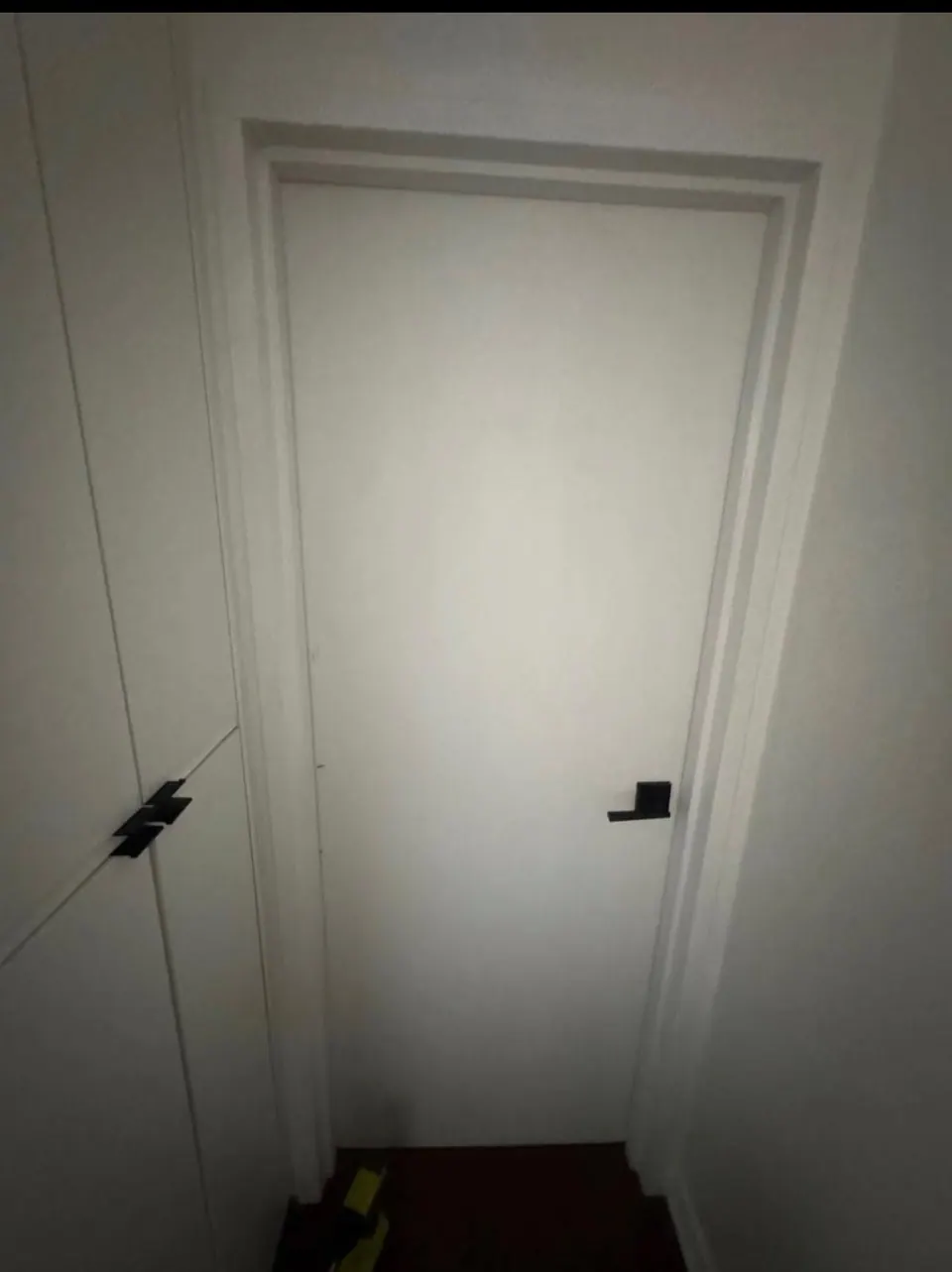 Completed: Closed door sitting flush in its frame with the new hinges in place
