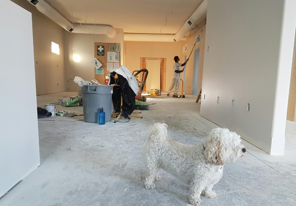 rerose-flood-repair-restoration-handyman